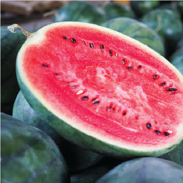 Watermelon Kiran